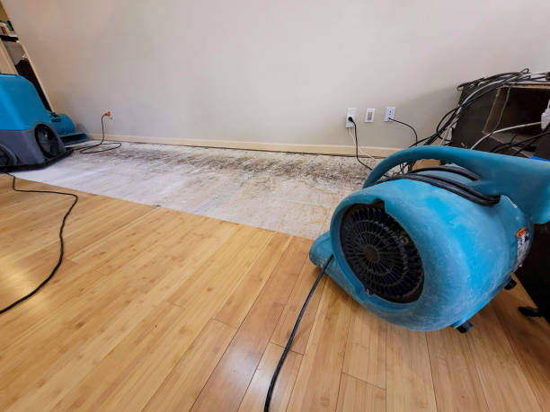 Professional Flood Damage Cleanup technician working in Saint John, WA